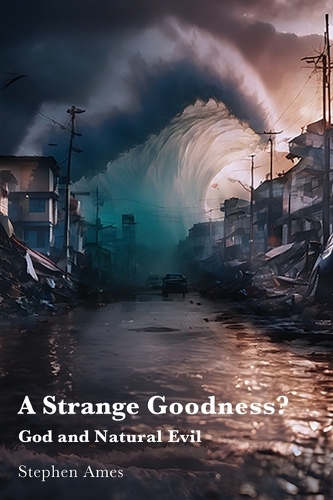 Бумажная книга «A Strange Goodness?: God and Natural Evil», автор Стивен Эймс - фото №1