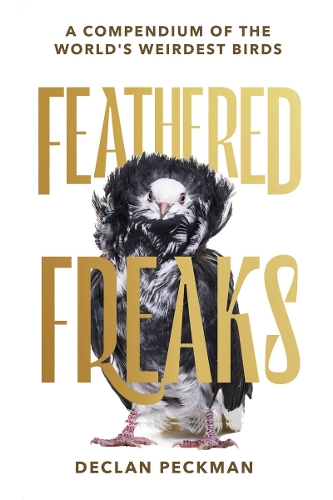 Бумажная книга «Feathered Freaks: A compendium of the world’s weirdest birds», автор Деклан Пекман - фото №1