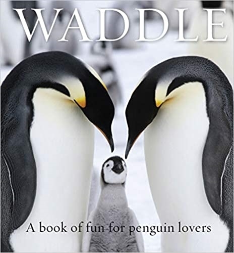 Бумажная книга «Waddle: A Book of Fun for Penguin Lovers», автор Ллойд Спенсер - фото №1