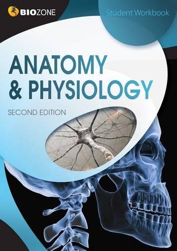 Бумажная книга «Anatomy & Physiology: Student Workbook», авторов Кент Прайор, Лисса Бейнбридж-Смит, Ричард Аллан, Трейси Гринвуд - фото №1