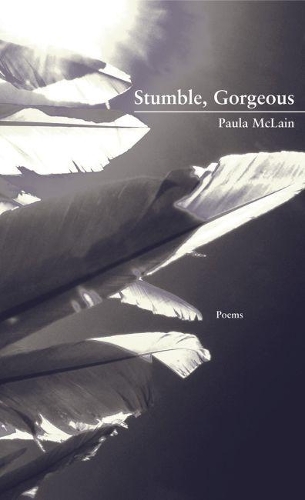 Паперова книга «Stumble, Gorgeous», автор Пола Маклейн - фото №1