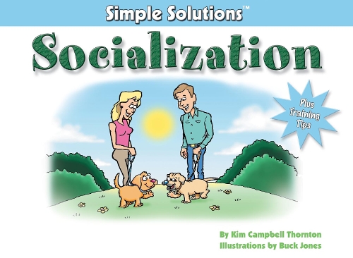 Бумажная книга «Socialization: Simple Solutions», автор Ким Кэмпбелл Торнтон - фото №1