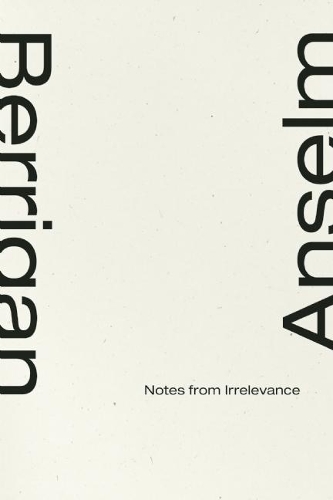 Бумажная книга «Notes From Irrelevance», автор Ансельм Берриган - фото №1