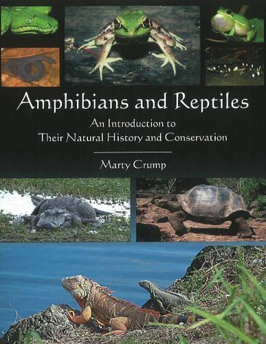 Бумажная книга «Amphibians & Reptiles: An Introduction to Their Natural History & Conservation», автор Марти Крамп - фото №1