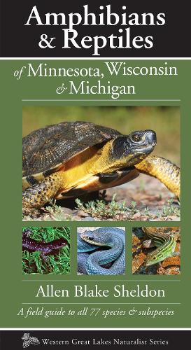 Паперова книга «Amphibians & Reptiles of Minnesota, Wisconsin & Michigan: A Field Guide to All 77 Species & Subspecies», автор Аллен Блейк Шелдон - фото №1