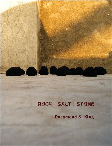 Паперова книга «Rock|Salt|Stone», автор Розамонд Кінг - фото №1