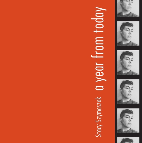 Бумажная книга «A Year From Today», автор Стейси Шимашек - фото №1