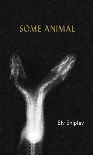 Бумажная книга «Some Animal», автор Эли Шипли - фото №1