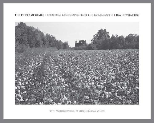 Бумажная книга «The Power of Belief: Spiritual Landscapes of the Rural South», автор Дэвид Уортон - фото №1