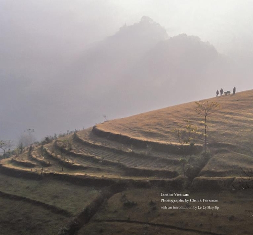 Паперова книга «Lost in Vietnam», авторів Чак Форсман, Ле Лі Хейсліп - фото №1