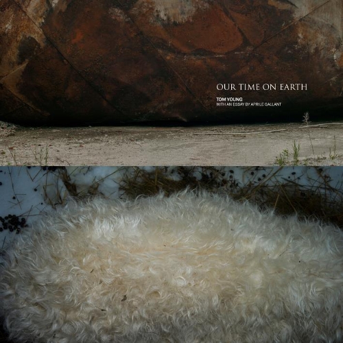 Бумажная книга «Our Time on Earth», автор Том Янг - фото №1