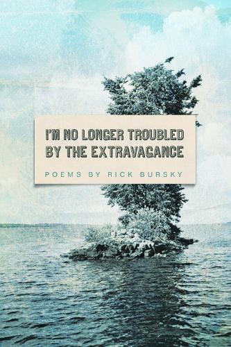 Бумажная книга «I'm No Longer Troubled by the Extravagance», автор Рик Бурски - фото №1