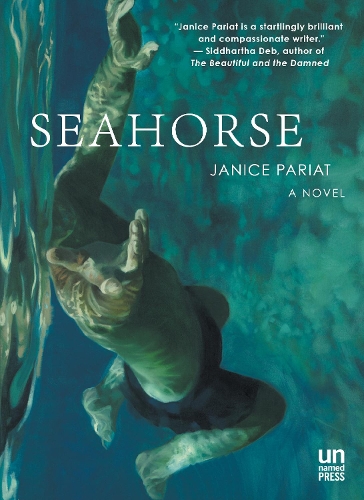 Бумажная книга «Seahorse: A Novel», автор Дженис Париат - фото №1