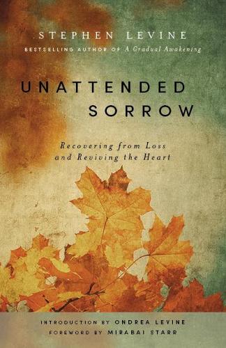 Бумажная книга «Unattended Sorrow: Recovering from Loss and Reviving the Heart», автор Стивен Левин - фото №1