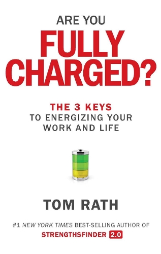  «Are You Fully Charged? (Intl)» - фото №1