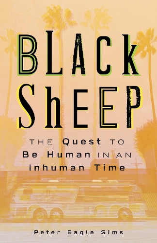 Паперова книга «Black Sheep», автор Пітер Сімс - фото №1