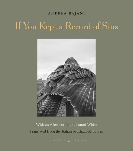 Паперова книга «If You Kept A Record Of Sins», авторів Андреа Баяні, Елізабет Гарріс - фото №1