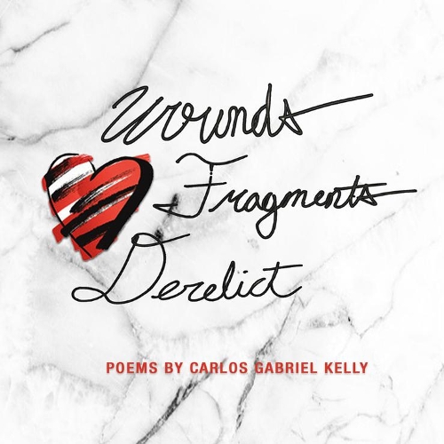 Паперова книга «Wounds Fragments Derelict», авторів Карлос Габріель Келлі, Шон Фредерік Форбс - фото №1