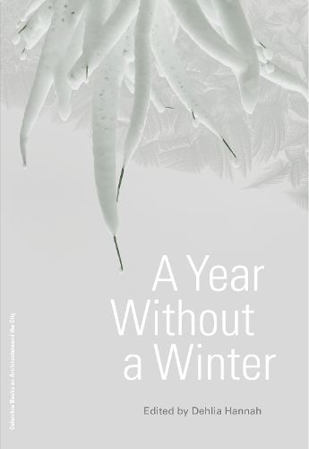 Бумажная книга «A Year Without a Winter», автор Делия Ханна - фото №1