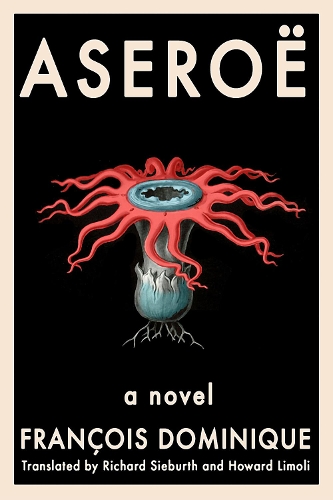 Паперова книга «Aseroë», автор Франсуа Домінік - фото №1