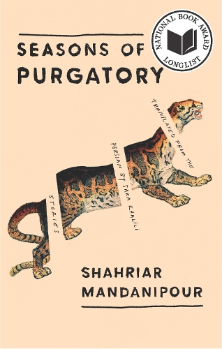 Паперова книга «Seasons of Purgatory», автор Шахріар Манданіпур - фото №1