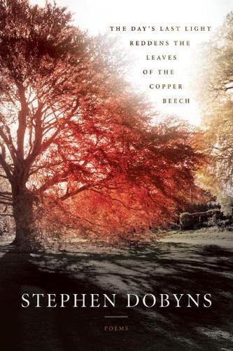 Бумажная книга «The Day's Last Light Reddens the Leaves of the Copper Beech», автор Стивен Добинс - фото №1