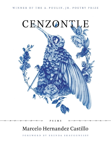 Бумажная книга «Cenzontle», автор Марсело Эрнандес Кастильо - фото №1