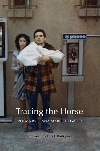 Бумажная книга «Tracing the Horse», автор Диана Мари Дельгадо - фото №1