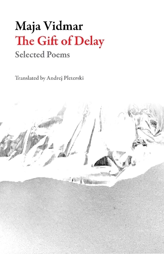Паперова книга «The Gift Of Delay: Selected Poems», автор Майя Відмар - фото №1