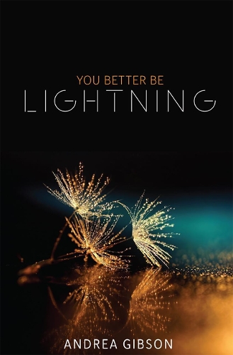Бумажная книга «You Better Be Lightning», автор Андреа Гибсон - фото №1