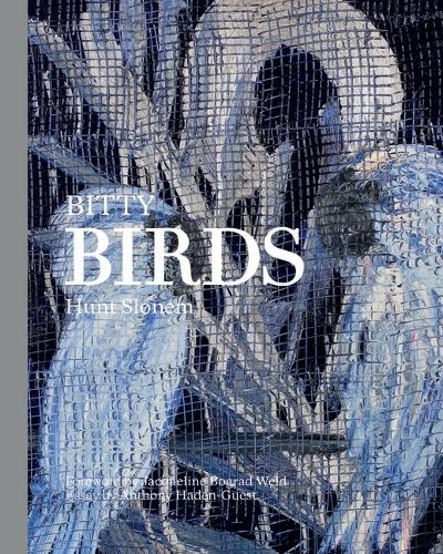 Паперова книга «Bitty Birds», автор Хант Слонем - фото №1