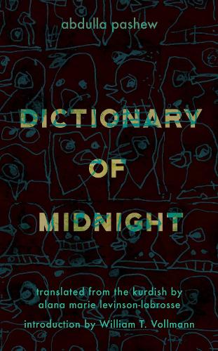 Паперова книга «Dictionary of Midnight», автор Абдулла Пашу - фото №1