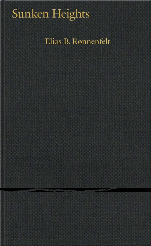 Паперова книга «Sunken Heights», автор Еліас Б. Рьонненфельт - фото №1
