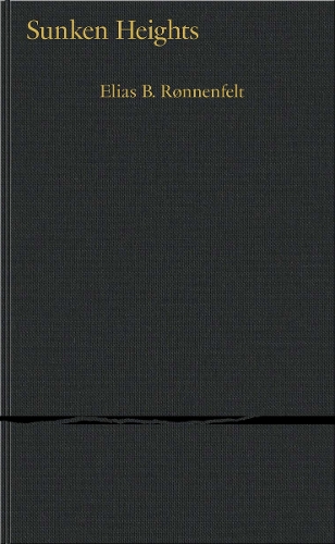 Паперова книга «Sunken Heights», автор Еліас Б. Рьонненфельт - фото №1