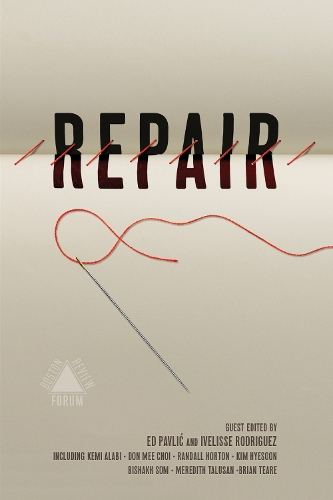 Бумажная книга «Repair», авторов Эд Павлик, Кали Фахардо-Анстин - фото №1