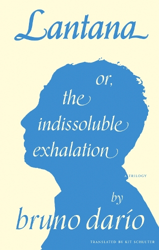 Паперова книга «Lantana or, the Indissoluble Exhalation», автор Бруно Даріо - фото №1