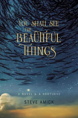 Бумажная книга «You Shall See the Beautiful Things – A Novel & A Nocturne», автор Стив Амик - фото №1