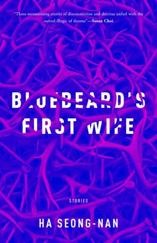 Паперова книга «Bluebeard's First Wife», автор Сон Нан Ха - фото №1