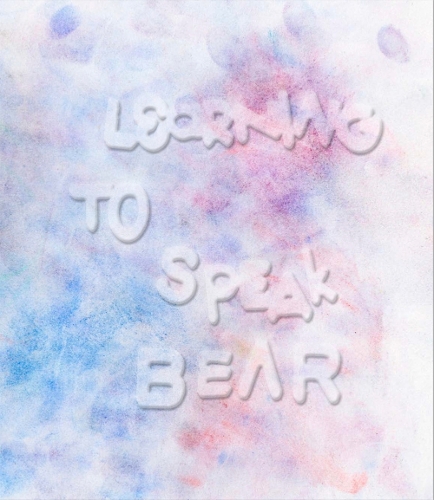 Бумажная книга «Learning to Speak Bear», автор Кристин Ниборг - фото №1