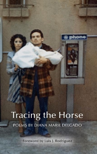 Бумажная книга «Tracing the Horse», автор Диана Мари Дельгадо - фото №1