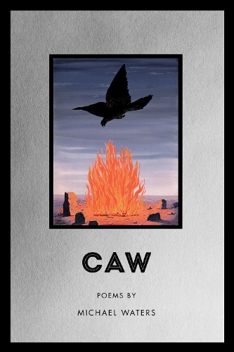 Бумажная книга «Caw», автор Майкл Уотерс - фото №1