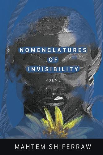 Бумажная книга «Nomenclatures of Invisibility», автор Махтем Шиферрау - фото №1