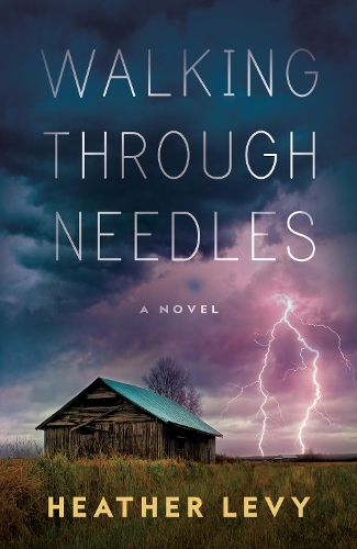 Паперова книга «Walking Through Needles», автор Хізер Леві - фото №1
