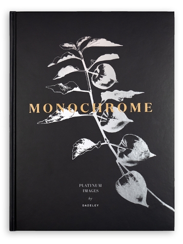 Бумажная книга «Monochrome: Platinum Prints», автор Питер Дейзли - фото №1