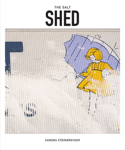 Паперова книга «The Salt Shed: Transforming an Iconic Chicago Space», автор Сандра Штайнбрехер - фото №1