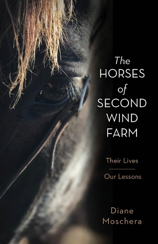  «Horses of Second Wind Farm» - фото №1
