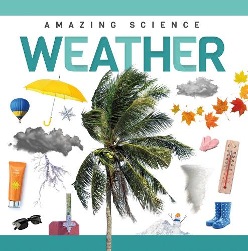 Бумажная книга «Weather», автор Ребекка Филлипс-Бартлетт - фото №1