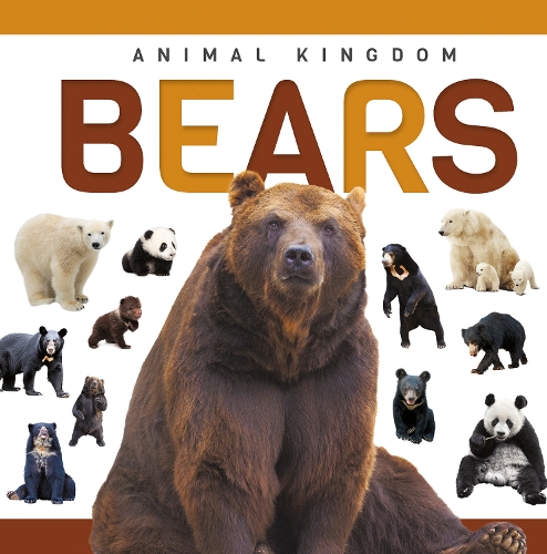 Паперова книга «Bears», автор Алекс Холл - фото №1
