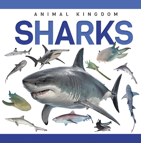 Бумажная книга «Sharks», автор Алекс Холл - фото №1