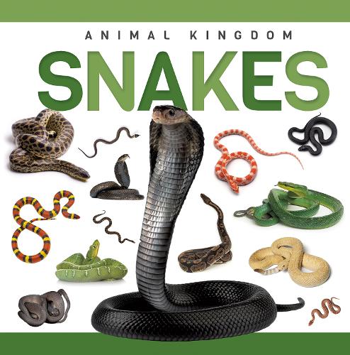 Бумажная книга «Snakes», автор Ребекка Филлипс-Бартлетт - фото №1